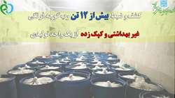 کشف و ضبط بیش از 12تن رب گوجه فرنگی غیربهداشتی و کپک زده در شهر ایوانکی توسط دانشگاه علوم پزشکی استان سمنان